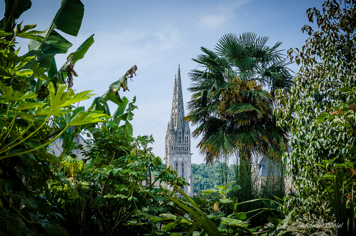 Un voyage au jardin tropical de La Retraite Jardin tropical de La retraite Quimper
