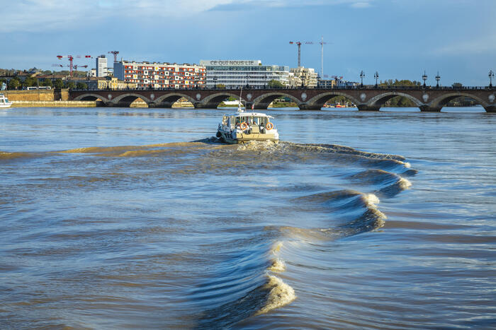 Une histoire de l’eau à Bordeaux, Cathédrale Saint-André, Bordeaux