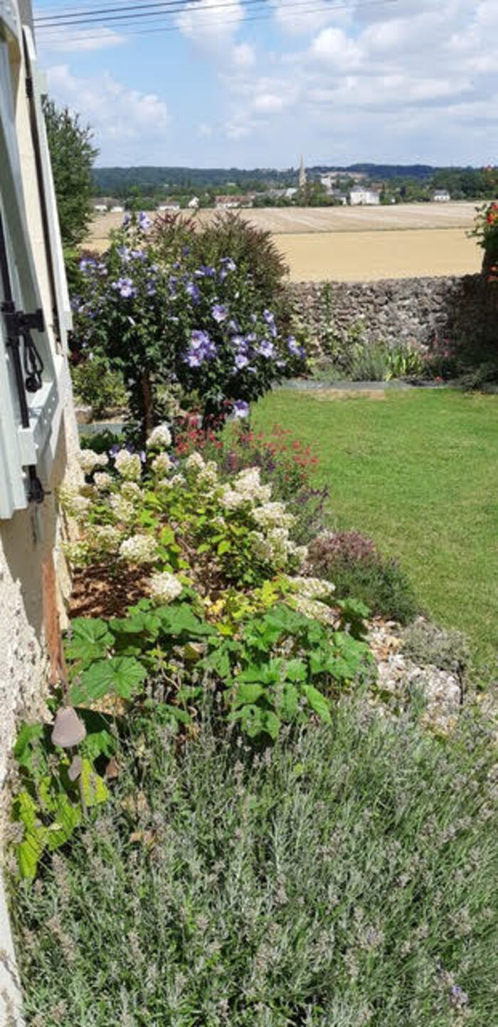 Une visite avec une vue sur le village, Jardin du vieil arbre, Vallée-de-Ronsard