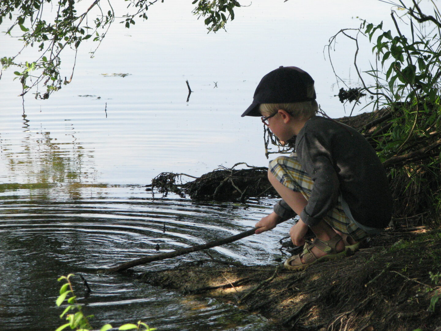 Vacances buissonnières Stages Nature à la Maison de la Chasse et de la Nature  Montrieux-en-Sologne