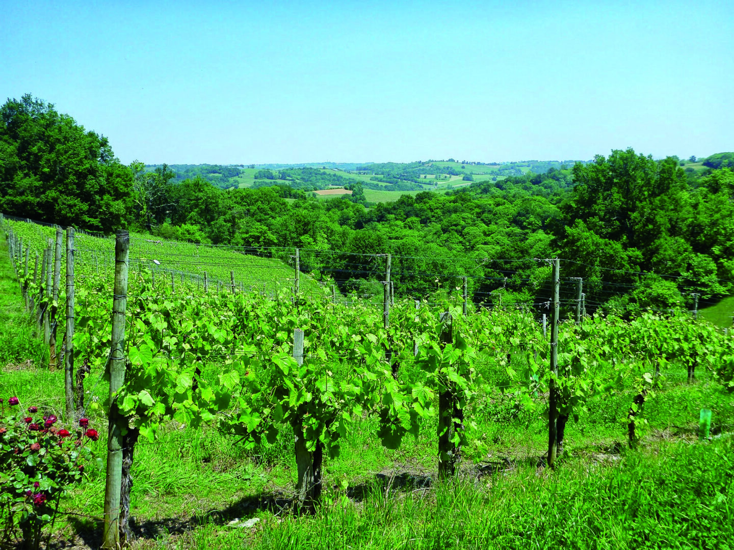 Vallon du Layous Lucq-de-Béarn Pyrénées-Atlantiques
