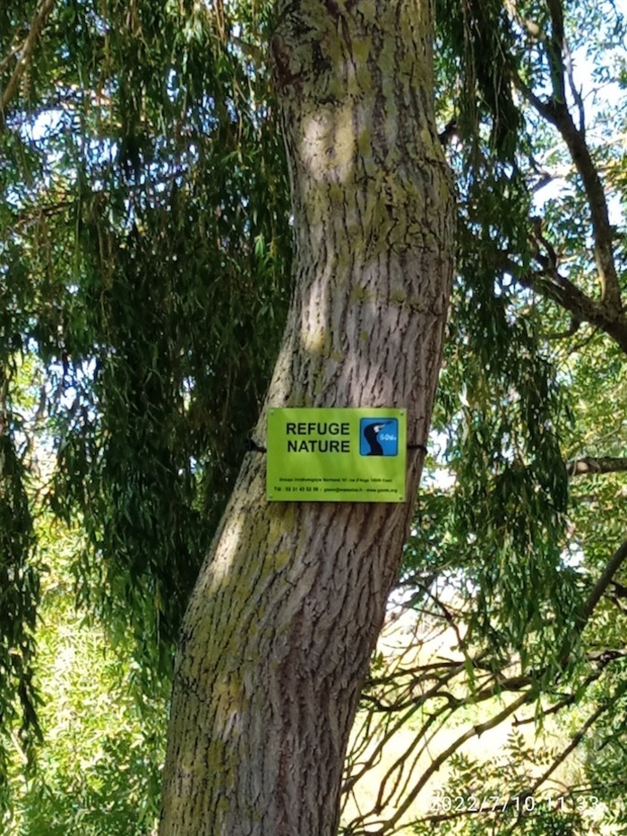 VASSY-VALDALLIÈRE/14 : animation GONm, La commanderie de Courval, Valdallière