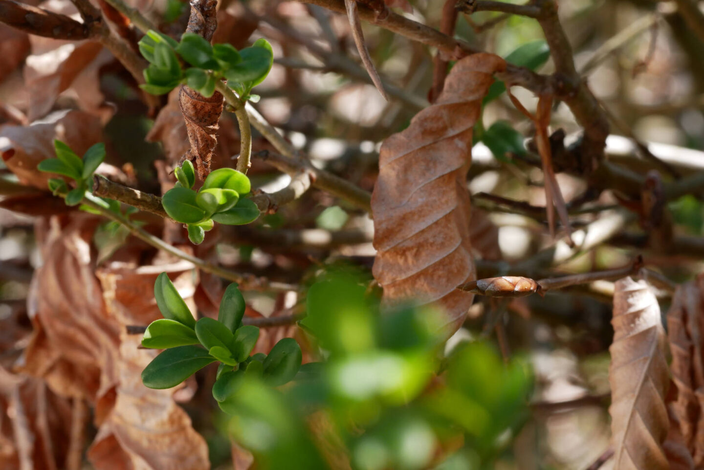 Veillée conte 40 Rue de Besançon Montgesoye 2026-09-15