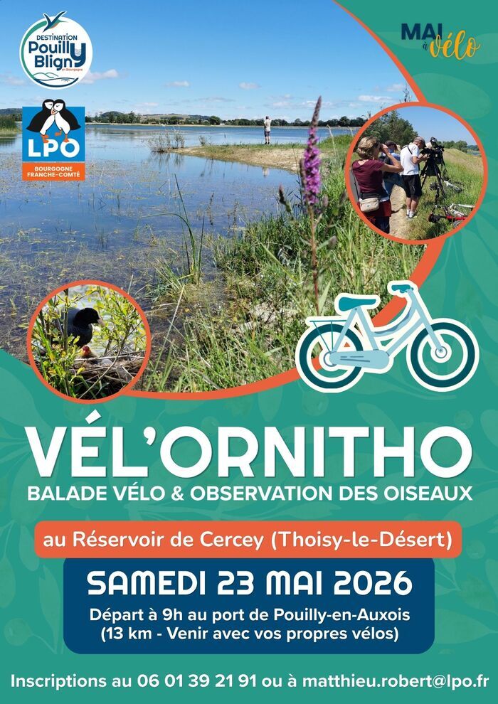 Vél'Ornitho Réservoir de Cercey