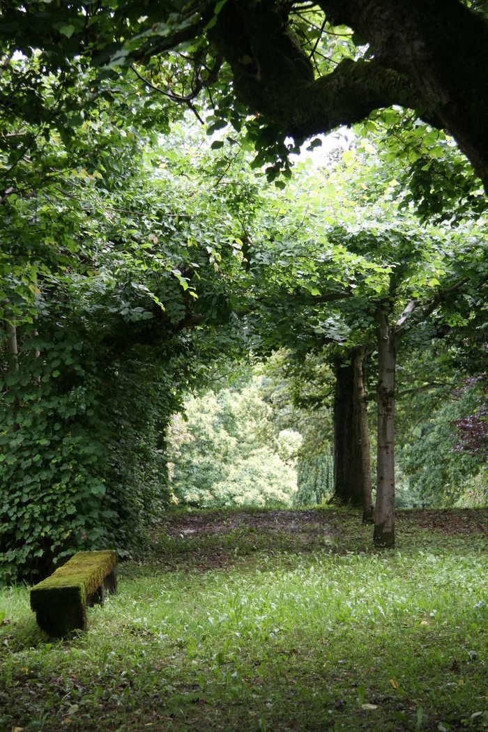 Venez découvrir le parc XVIIIe siècle d&rsquo;un château daté du XVIIe., Château de Hayes, Hayes