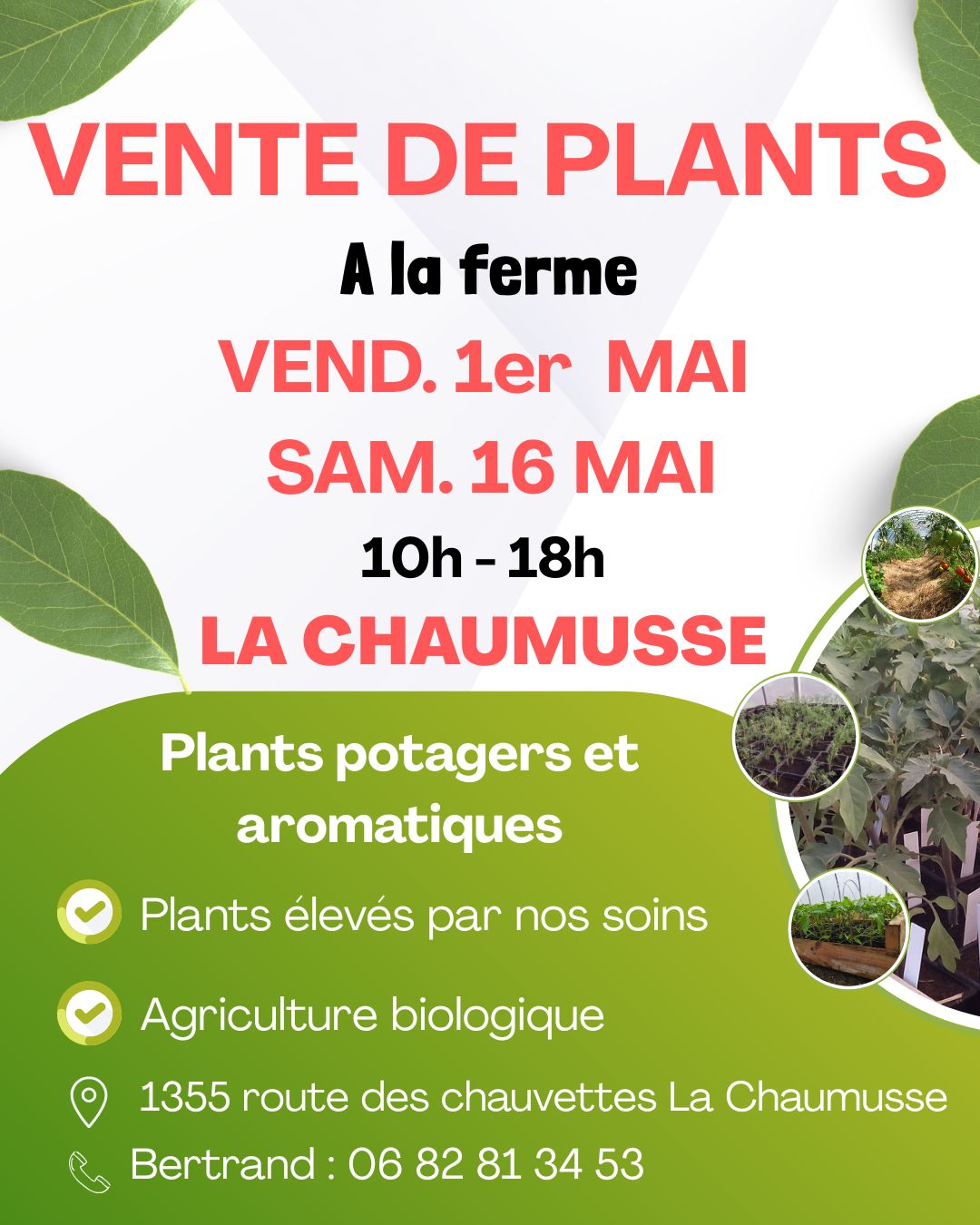 Vente de plants potagers et aromatiques à la ferme  La Chaumusse