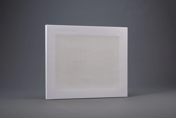 Vernissage et rencontre avec Ni Liang, Bibliothèque de Genève, Genève