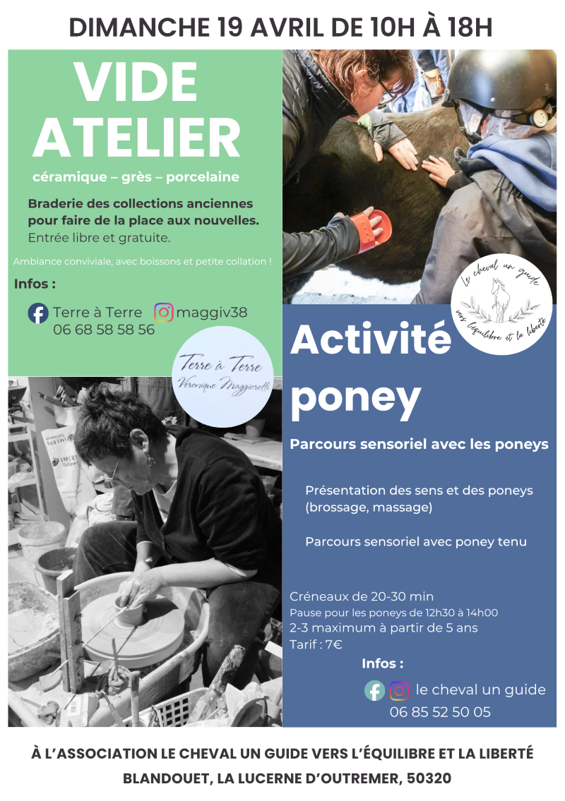Vide atelier et activité avec les poneys Le Cheval un Guide vers l&rsquo;Equilibre et la Liberté La Lucerne-d&rsquo;Outremer