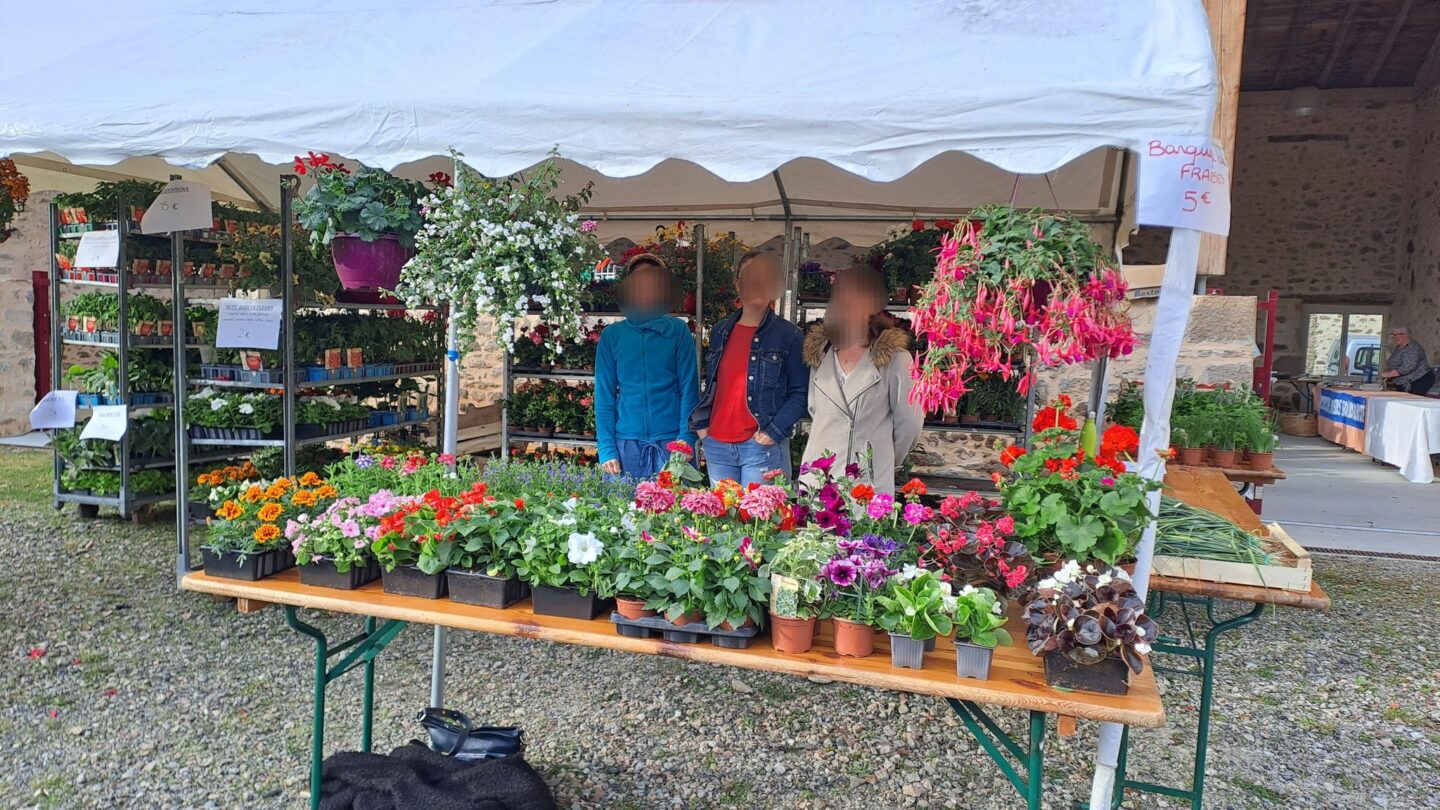 Vide grenier et marché aux fleurs  Saint-Cyr