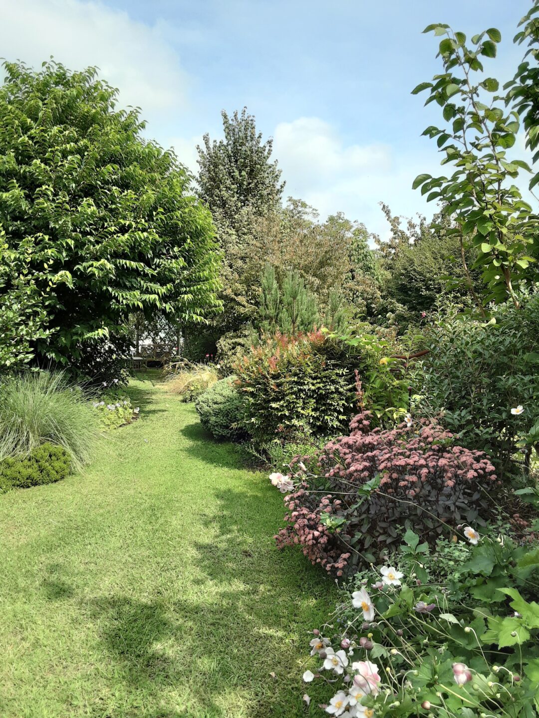 Vide serre Jardin Marguerite Linxe