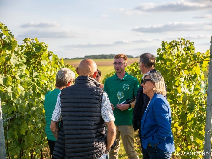 Vignoble du Haut Escaut, Vignoble du Haut Escaut, Bantouzelle