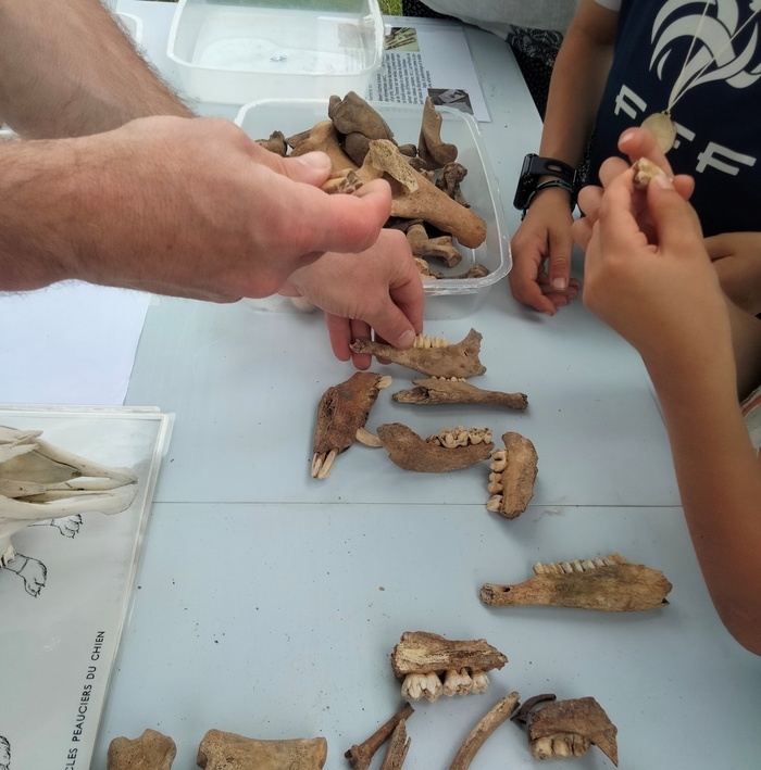 Village des archéologues Site archéologique du Vernay Saint-Romain-de-Jalionas