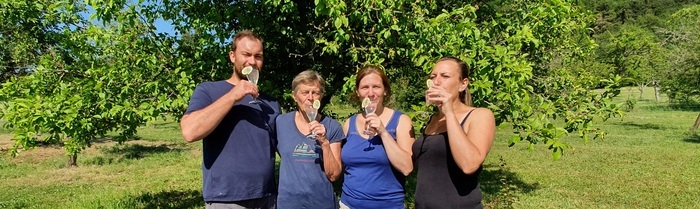 Vins, Eaux de vie des Côtes de Meuse, Domaine de la Goulotte – Caveau, Saint-Maurice-sous-les-Côtes