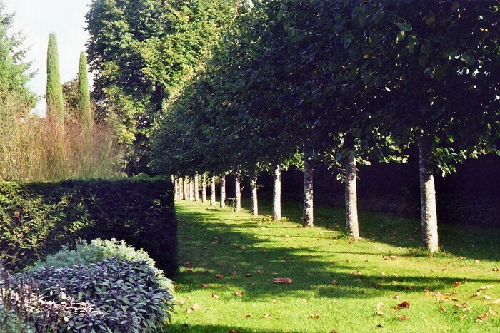 Visite à la découverte du jardin du presbytère Jardin de l'ancien presbytère Braye-sous-Faye