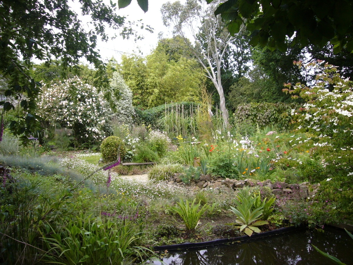 Visite accompagnée du jardin du Revers  Notre-Dame-de-Cenilly