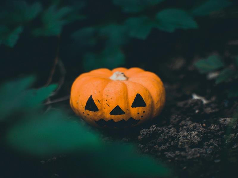 Visite-atelier Danse macabre Musée de la Princerie Verdun