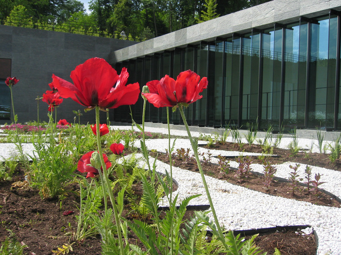 Visite-atelier "Esprit jardin" Musée Lalique Wingen-sur-Moder