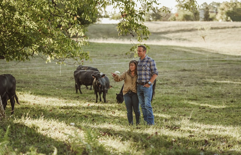 Visite Au cœur du troupeau Les Prairies de Laloubarie Brantôme en Périgord