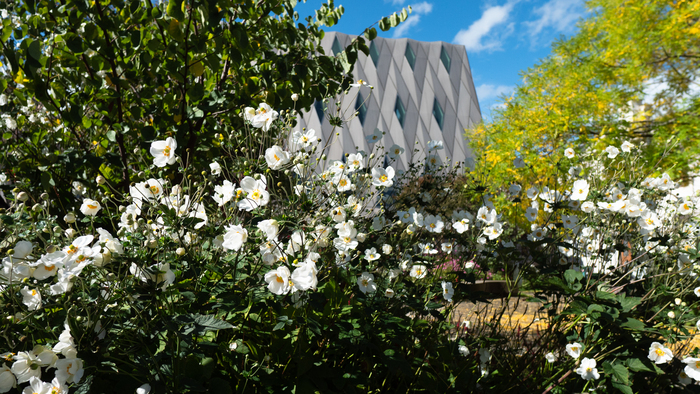 Visite au Jardin: Le retour du printemps MEG Genève