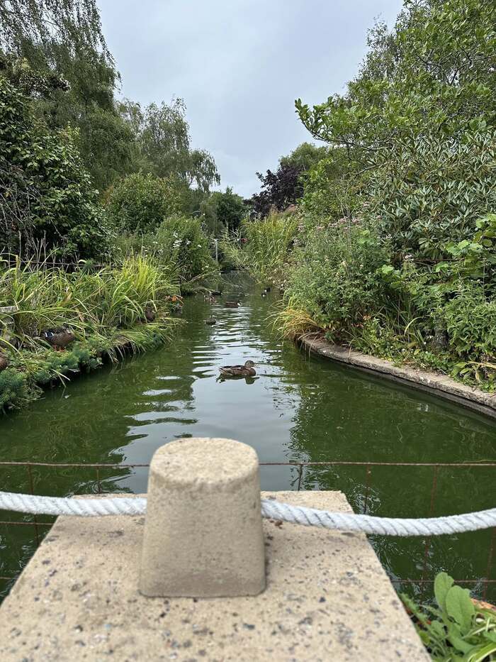 Visite autonome au jardin de Reg, Reg&rsquo;s Garden – Badger&rsquo;s Holt, St Brelade