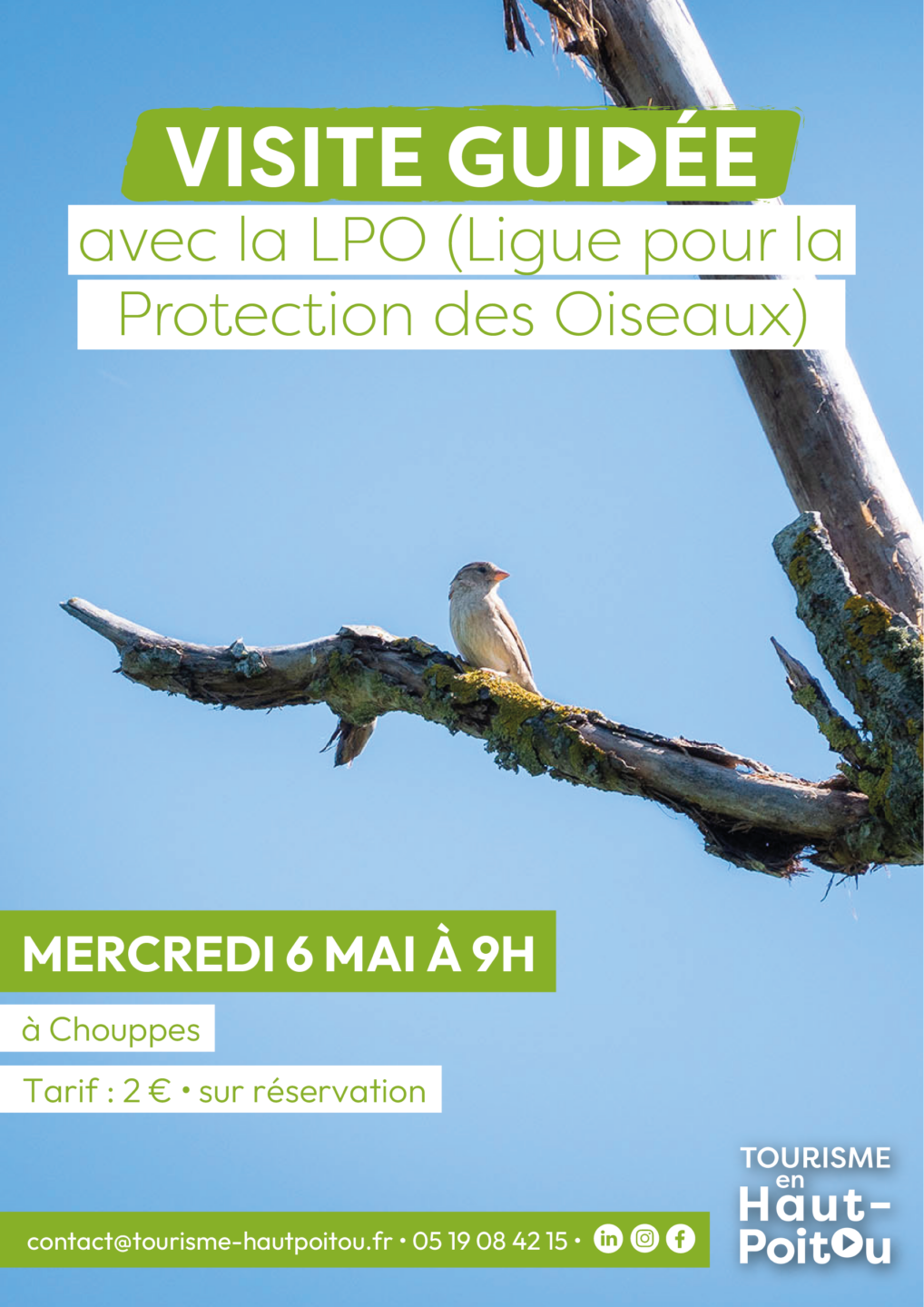 Visite avec la LPO  Chouppes