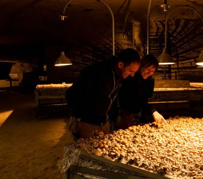 Visite Champignonnière du Saut aux Loups Champignonnière du Saut aux Loups Turquant