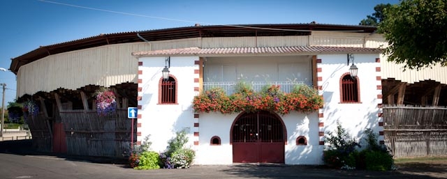 Visite commentée de la Monumental des Pins Arènes Roquefort 2026-07-04