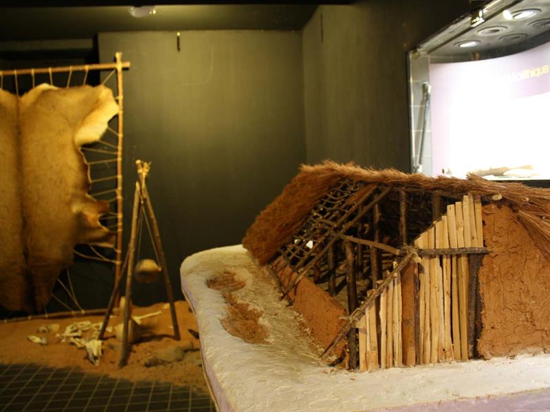 Visite commentée de la section Préhistoire  Niederbronn-les-Bains