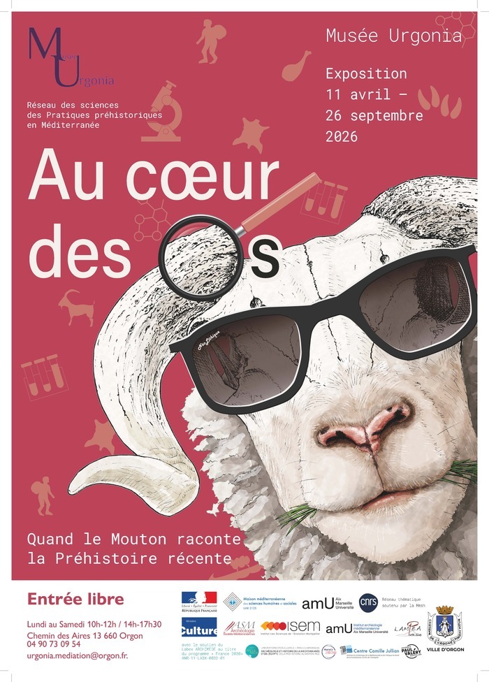 Visite commentée de l’exposition temporaire « Au cœur des os, quand le mouton raconte la Préhistoire récente », Musée Urgonia, Orgon