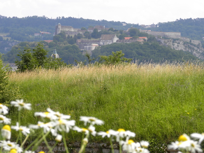 Visite commentée des Vieux Glacis Les vieux glacis Besançon