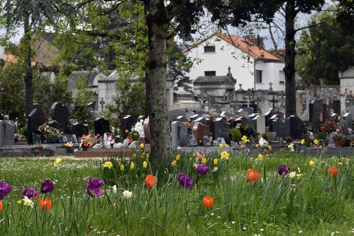 Visite commentée du cimetière Parc, Arboretum Cimetière parc, Nantes