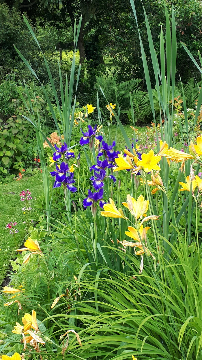Visite commentée du Jardin de L'Eau Vive Le jardin de l’Eau vive La Ville-sous-Orbais