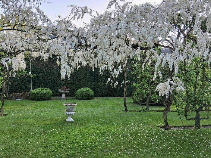 Visite commentée du Jardin de Sarton Jardin de Sarton Sarton