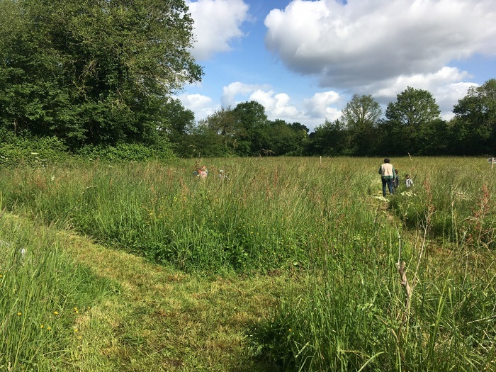 Visite commentée du jardin sauvage et de la pépinière de biodiversité, Le Marais Fertile, Plouasne