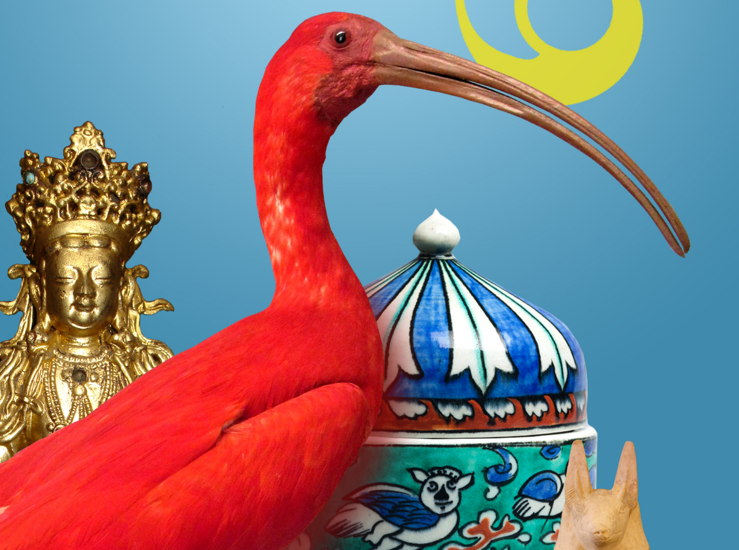 Visite commentée du Musée des Beaux-Arts et d&rsquo;Histoire Naturelle  Châteaudun