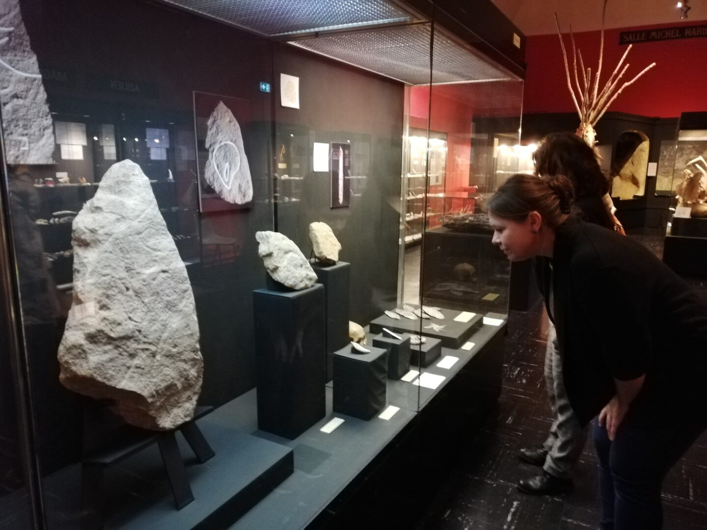Visite commentée La collection Préhistoire du musée 22 Cours Tourny Périgueux 2026-08-05