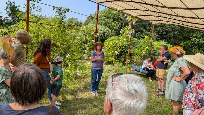 Visite commentée la roseraie punk!, La Roseraie de Gérenton, Bédoin