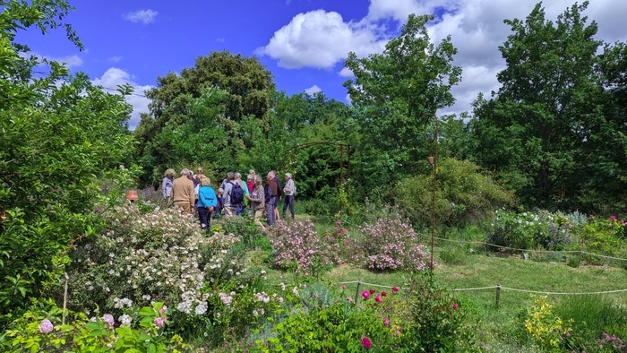 Visite commentée "Nos jardins pour renouer avec le vivant" La Roseraie de Gérenton Bédoin