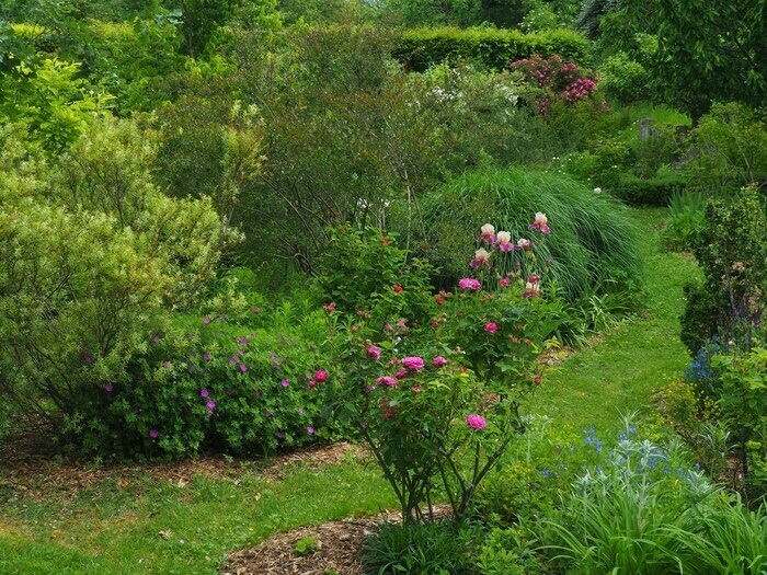 Visite commentée ou visite libre du Jardin des Marceaux Le Jardin des Marceaux à Chabeuil (Drôme) Chabeuil