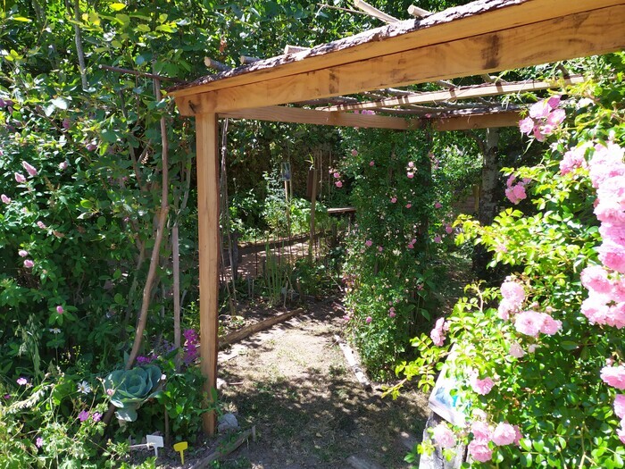 Visite commentée Plantes et couleurs Bénévent-l'Abbaye