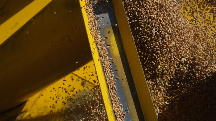 Visite contée de l'exposition "Une odyssée en terre agricole" Le Château Coquelle Dunkerque