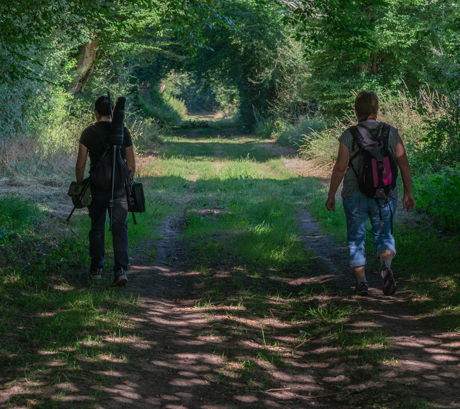 Visite crépusculaire du bocage Noirlac Bruère-Allichamps 2026-07-01