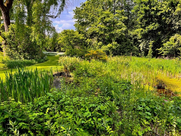 Visite de jardin, 13 Rue des Anciens Combattants à 1450 Gentinnes, Belgique, Gentinnes