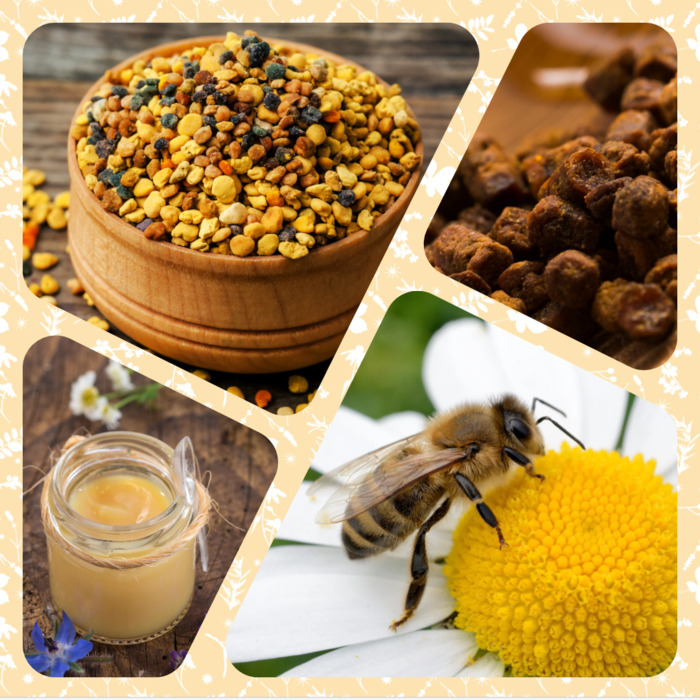 Visite de la ferme mielifique et dégustation La ferme mielifique Mornant