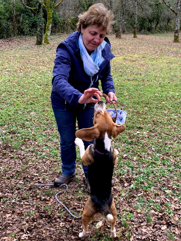 Visite de la truffière à Truffes Passion 151 Chemin du Jouncas Limogne-en-Quercy 2026-04-21