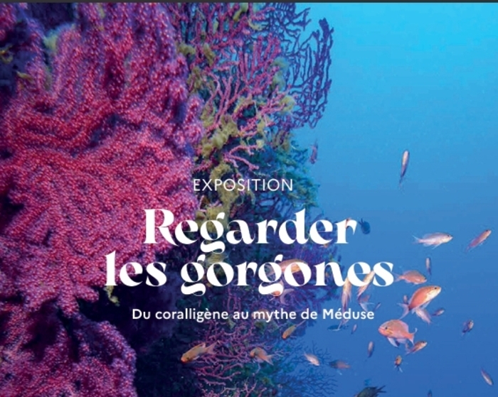 Visite de l'exposition        « Regarder les gorgones » Du coralligène au mythe de Méduse - jardin marin Musée Balaguier La Seyne-sur-Mer