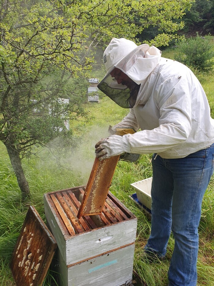 Visite de rucher et/ou de miellerie, Pas de Côté, Puy-Saint-Eusèbe