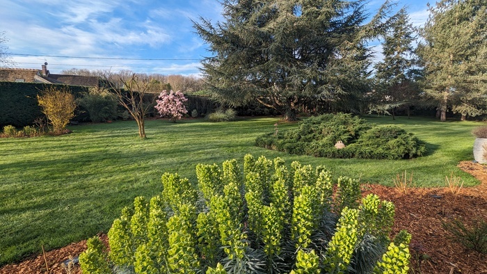 Visite découverte commentée du jardin, Jardin « Cèdre et bambous », Monts