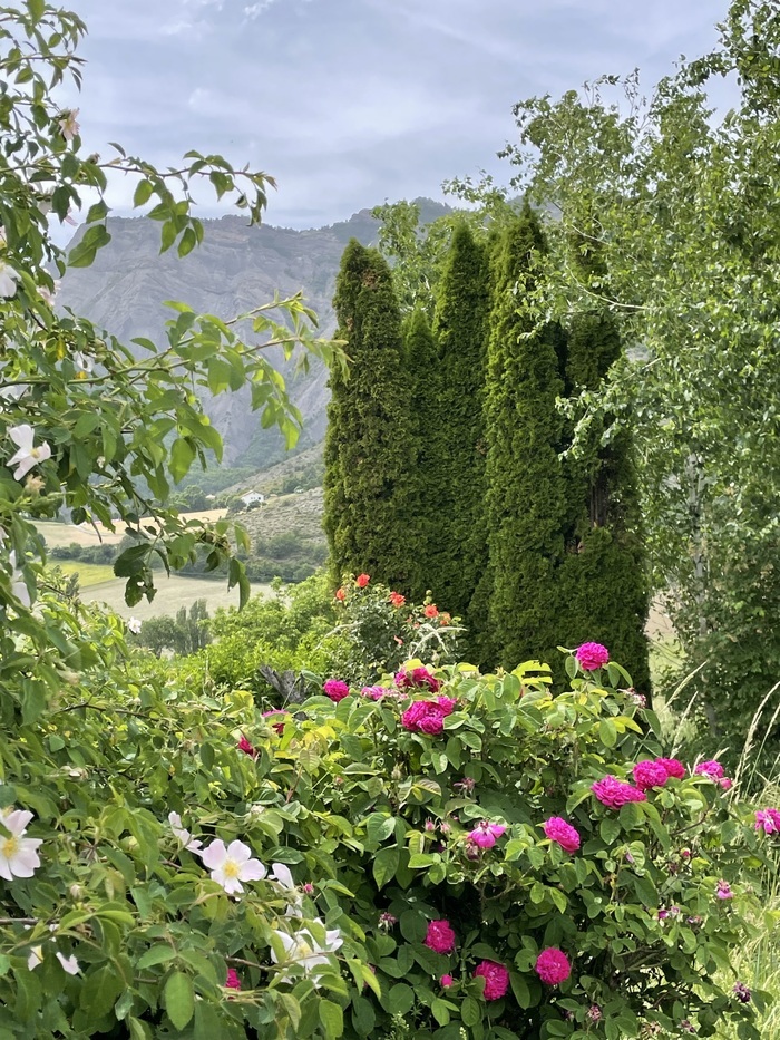 Visite découverte du jardin botanique, Le Maurier Jardin Botanique, Turriers