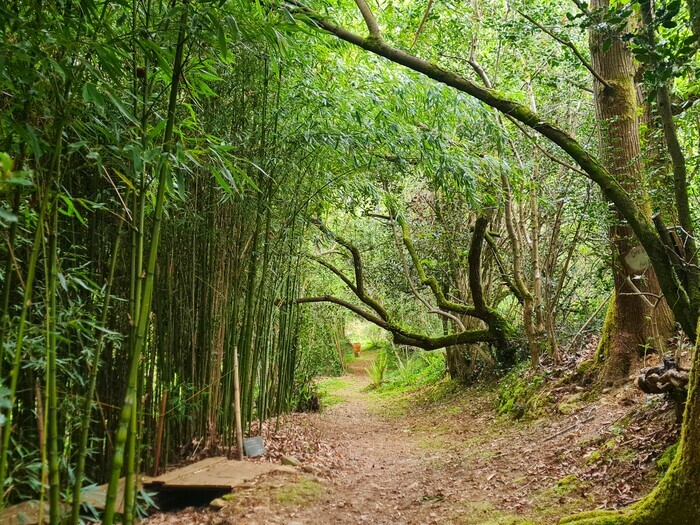 Visite découverte du jardin botanique, Maison et Jardin Talinou, Montastruc